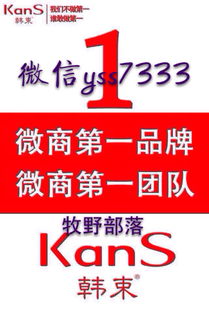 如何代理瑞美萊面膜 代理條件與流程詳解